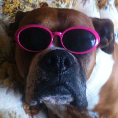 Profile Picture of Rudy Blaylock (@radney) on Twitter