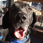 Profile Picture of Derek McKenney (@mckenneyderek) on Instagram