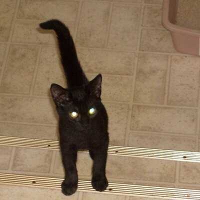 Profile Picture of Loretta Jackson (@lorettajackso10) on Twitter