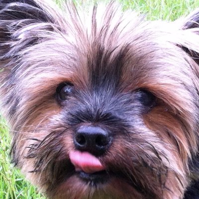 Profile Picture of Christian Kriebel (@CKriebel) on Twitter