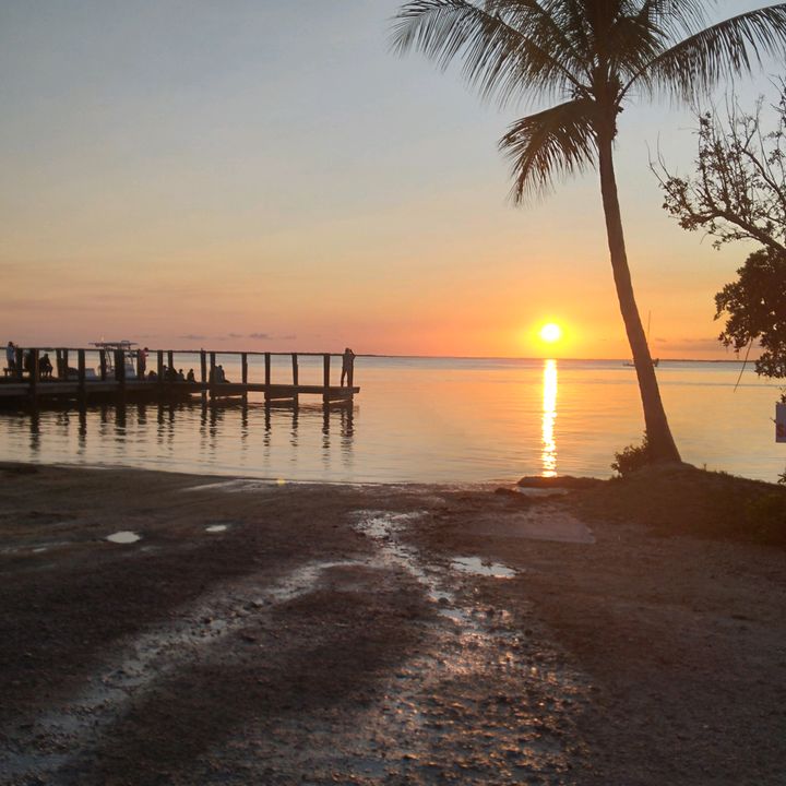 Profile Picture of Christopher Holley (@@christopherholley) on Tiktok