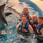 Profile Picture of Sheryl Weber (@sweber2127) on Instagram