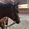 Profile Picture of Clara Sandvik (@@clara_latin) on Tiktok