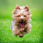 Profile Picture of Gemmela Rajkumar (@gemmelarajkumar) on Instagram