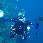 Profile Picture of Paul Hallam (@sorrentostingers) on Youtube