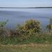Profile Picture of Ray Haney (Arkansasbos) (@Ray-Haney) on Facebook