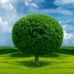 Profile Picture of Hassan Ibrahim (@hassan.albashir.33) on Facebook