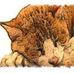 Profile Picture of Nancy Olmstead (@nancy.olmstead.33) on Facebook