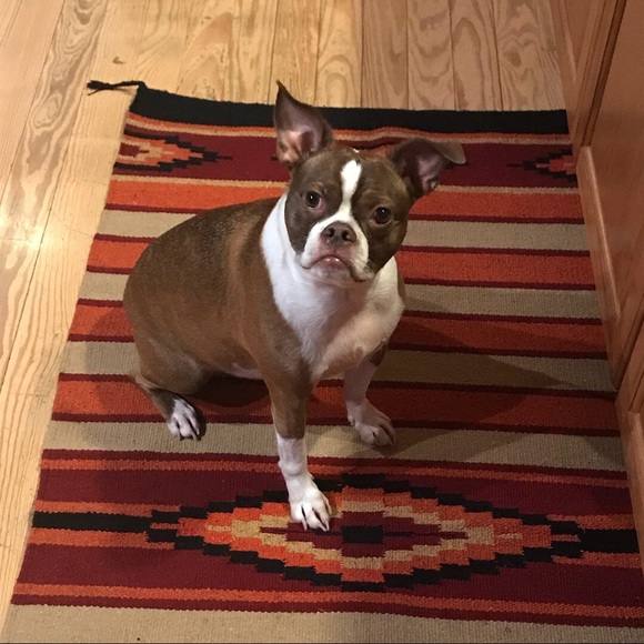 Profile Picture of Joellen Scott (@joey38884) on Poshmark