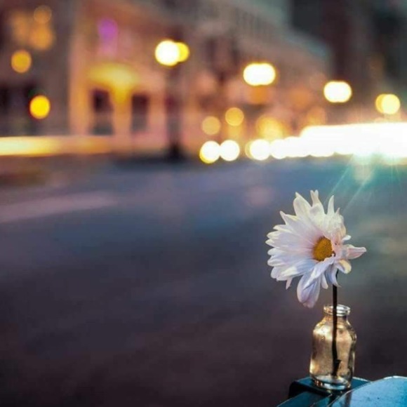 Profile Picture of Lisa Bartolo (@cab007) on Poshmark