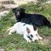 Profile Picture of Doug Ivey (@doug.ivey.904) on Facebook