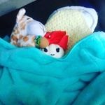 Profile Picture of Jerry Grounds (@jerry_grounds123) on Instagram