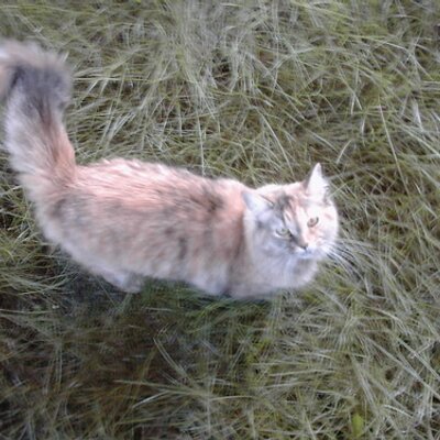 Profile Picture of Dave Reinecke (@dave_22870) on Twitter