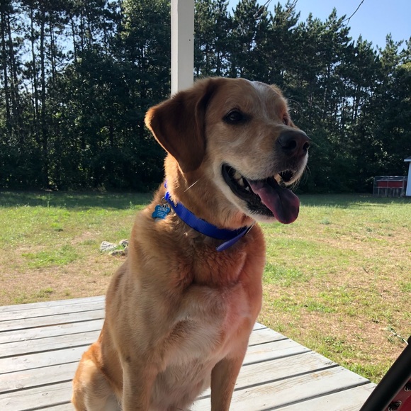 Profile Picture of Melanie Wisneski (@melaniej1289) on Poshmark