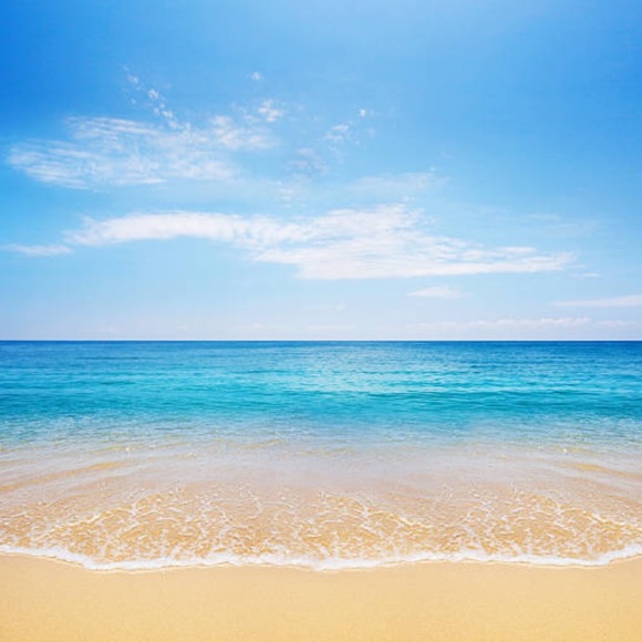 Hilary Waechter - Poshmark Profile Picture of Hilary Waechter (@rjsunshine) on Poshmark