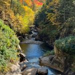 Profile Picture of Nancy Abrahamson (@abrahamsonnancy) on Instagram