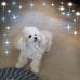 Profile Picture of Sherry Lucas (@Sherry-Lucas) on Facebook