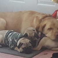 Profile Picture of Greg Masters (@greg-masters-5) on Quora