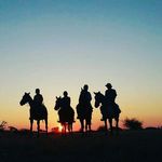 Profile Picture of Chris Kruger (@chriskruger1956) on Instagram