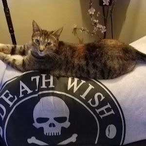 Profile Picture of lickerlots (@lickerlots) on Tiktok