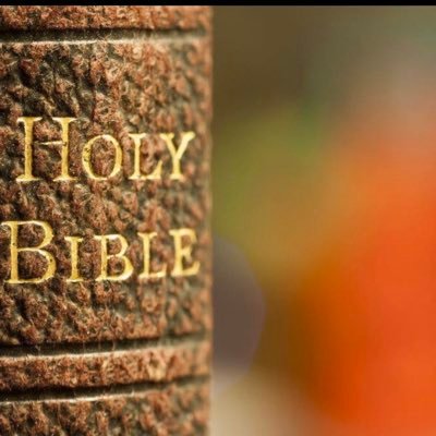 Profile Picture of The Bible Book (@@TheBible_Book) on Twitter