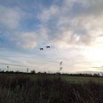 Profile Picture of David Barreau (@barreau_david) on Instagram