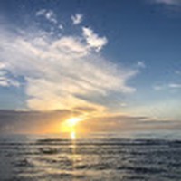 Profile Picture of Haley Miner (@haley-miner-2) on Quora