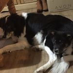 Profile Picture of Tammy Hoadley (@tammy_hoadley889) on Instagram