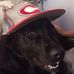 Profile Picture of Matthew Fraley (@matthew.fraley.98) on Facebook