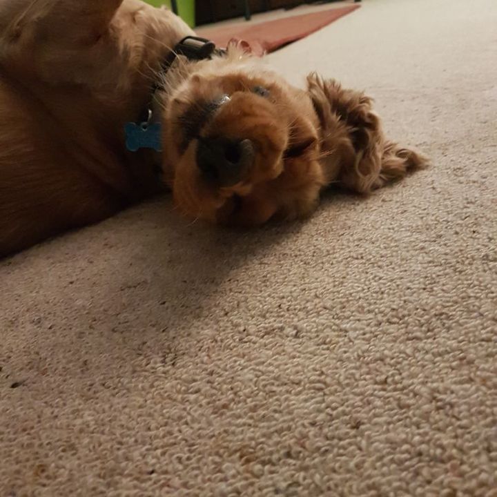 Profile Picture of Phyllis Rez (@phyllisrez) on Tiktok