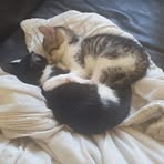 Profile Picture of Tina Harman (@tina.harman.90) on Facebook