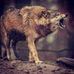 Profile Picture of Abu Rashed (@profile.php) on Facebook