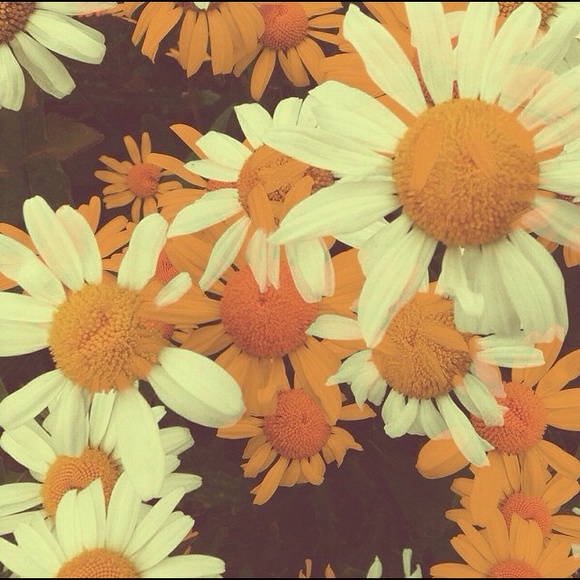 Profile Picture of Erica Stadter (@estadter) on Poshmark