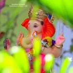 shau Mane - Instagram Profile Picture of shau Mane (@shaumane3) on Instagram