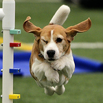 Profile Picture of Micheal Carpenter (@michealcarpenter) on Flickr