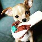 Profile Picture of kelsie Clarke (@kelsie.clarke) on Instagram