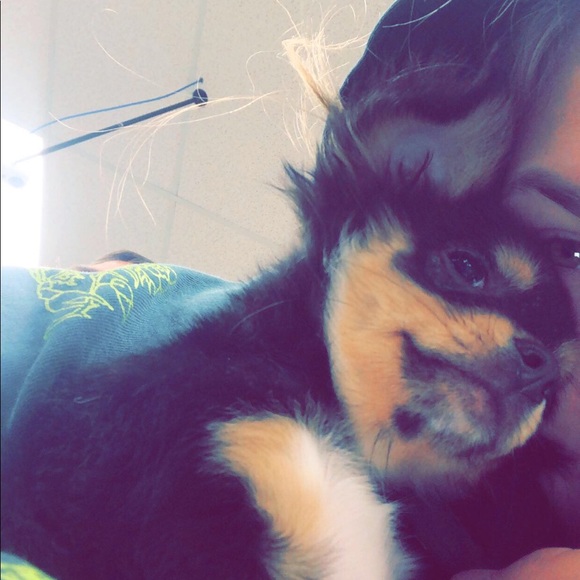 Kenkendra Altadonna - Poshmark Profile Picture of Kenkendra Altadonna (@kendraa33) on Poshmark