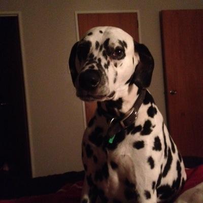 Profile Picture of Andy Salter (@andysalter74) on Twitter