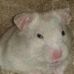 Profile Picture of Peter Trispel (@peter.trispel) on Facebook