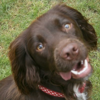 Profile Picture of Jo (@JoSylvester9) on Twitter