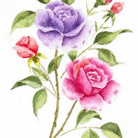 Profile Picture of James Fiddes (@james-fiddes-2) on Quora