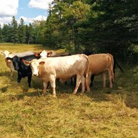 Profile Picture of Joseph Mingrone (@joseph-mingrone) on Quora