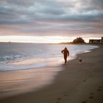 Profile Picture of Matthew Majewski (@silkywoodboi) on Instagram