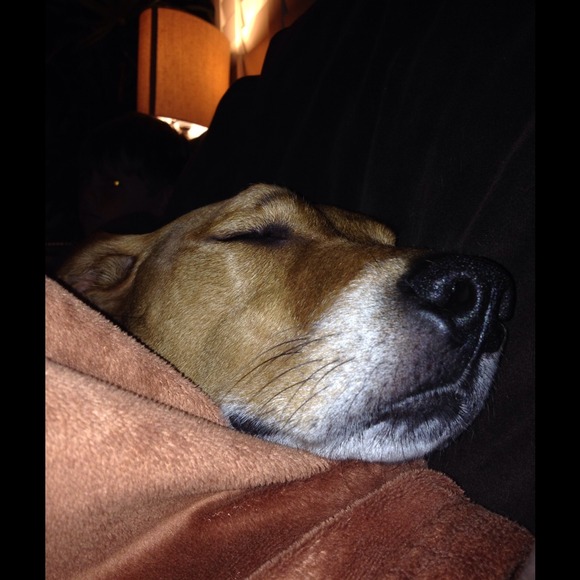 Profile Picture of Savannah Latiano (@savannah246) on Poshmark