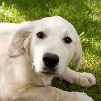 Joshua Storie - Twitter Profile Picture of Joshua Storie (@joshuastorie2) on Twitter