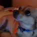 Profile Picture of Joyce Stanford (@joyce.stanford.140) on Facebook