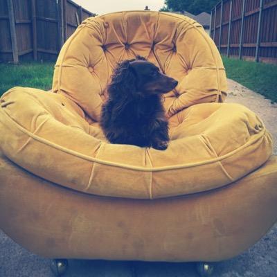 Profile Picture of Adam Logsdon (@AdamMProject) on Twitter