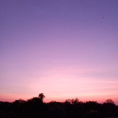 Profile Picture of Anh Thu Nguyen (@thedailyanh) on Twitter