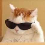 Profile Picture of Bukan Peter (@bukanpeter) on Instagram