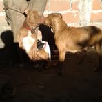 Sara Freites - Facebook Profile Picture of Sara Freites (@sara.freites.581) on Facebook